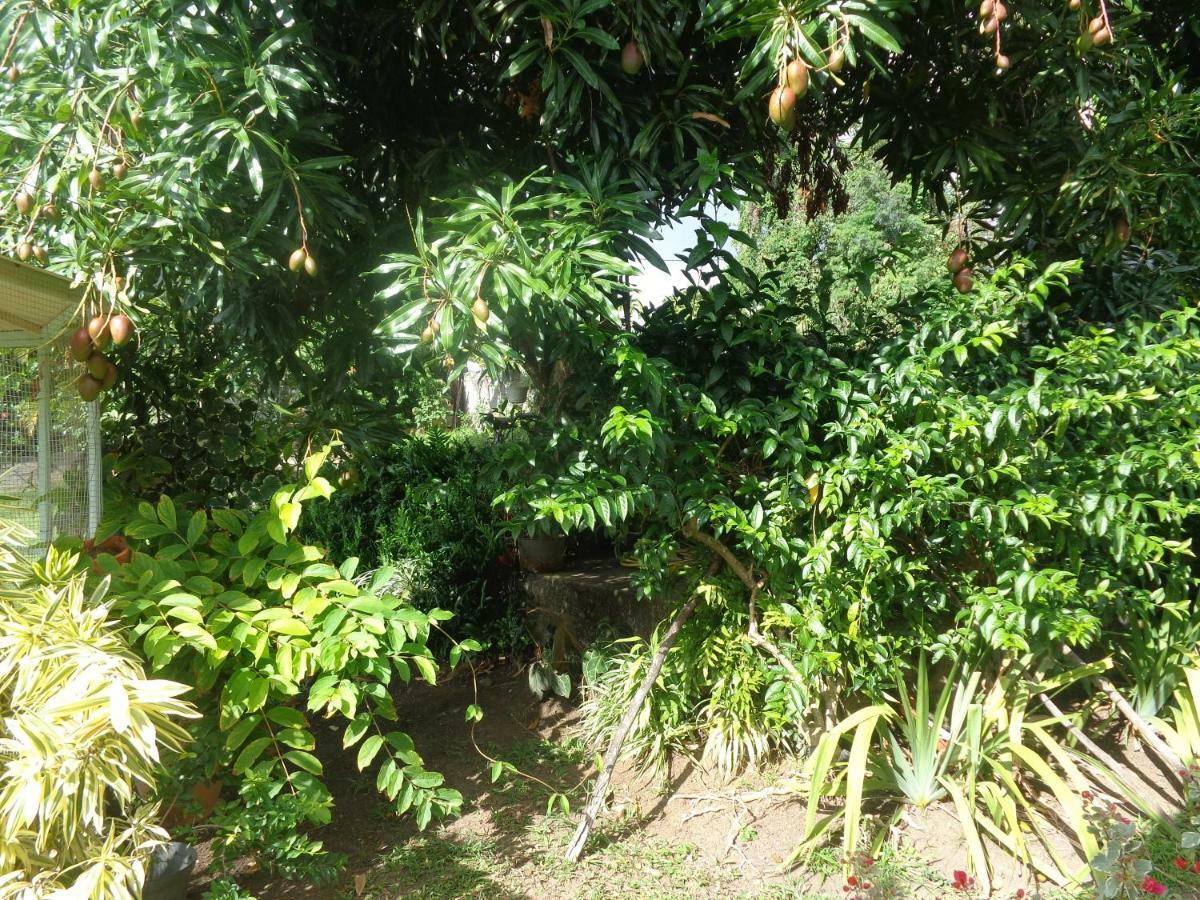 Gite Malou Deshaies Exterior foto